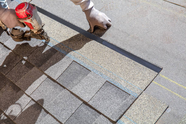 Best Roof Replacement Cost  in Odessa, FL