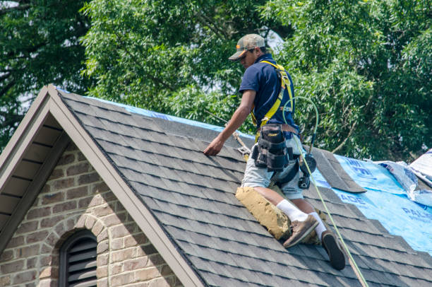 Best Roof Replacement Cost  in Odessa, FL